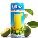 Suco de calamansi / Gina 250ml